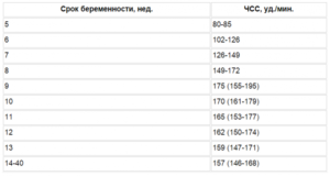 Чсс на 19 неделе беременности у плода