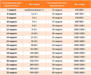 Вес плода на 32 неделе беременности таблица
