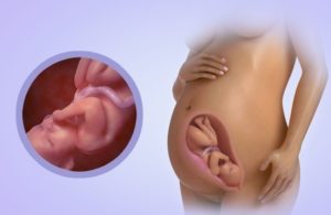 34 недели беременности матка в тонусе