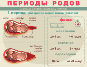 Раскрытие шейки матки на 1 палец когда начнутся роды