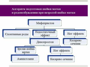 Через сколько начинает действовать мифепристон при стимуляции родов