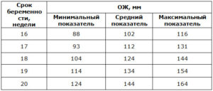 Окружность живота плода 31 неделя