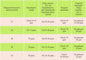 Овуляция на 26 день цикла возможна ли беременность