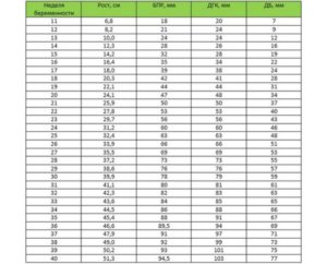Бипариетальный размер головки плода таблица по неделям