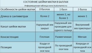 Мягкая Шейка Матки При Беременности 24 Недели