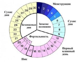 Можно ли забеременеть на 19 день цикла при 28 дневном цикле