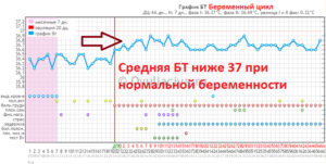 Температура 37 при беременности на ранних сроках беременности форум