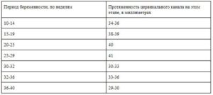 Шейка матки на 35 неделе беременности норма