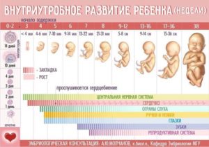 До какого срока беременности можно спать с мужем