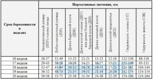 Анатомия плода 32 неделе беременности норма