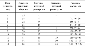 Размеры матки при беременности по неделям таблица