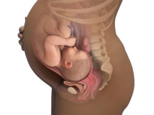 Ребенок активно шевелится 38 неделя беременности