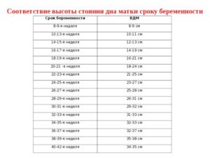 Высота дна матки не соответствует сроку беременности