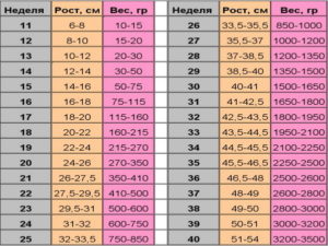 Вес плода в 20 недель беременности норма таблица