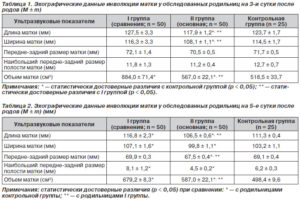 Размеры матки после родов норма по узи
