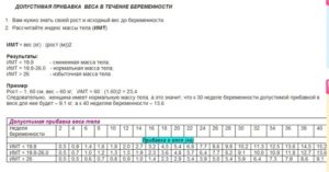 20 Недель беременности сколько прибавка в весе