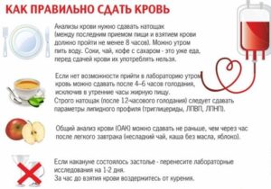 Можно ли пить воду перед сдачей общего анализа мочи