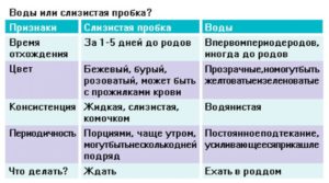 Могут ли быть ложные схватки после отхождения пробки