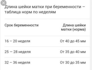 Шейка матки на 35 неделе беременности норма