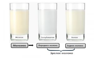 Может ли пропасть грудное молоко от нервов