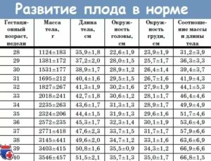 Сердцебиение плода на 37 неделе норма