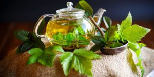 Можно ли при беременности чай с листьями смородины