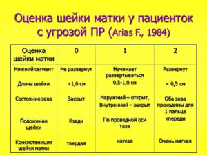 Шейка Матки 30 Мм На 30 Неделе