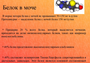 Что есть чтобы не было белка в моче при беременности