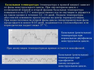 Какая Температура В Прямой Кишке При Беременности