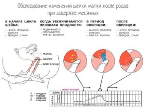 Можно ли забеременеть когда задержка месячных