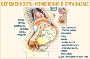 38 Недель беременности режущие боли внизу живота