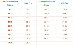 Высота матки 23 неделе беременности