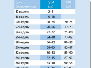 38 Недель окружность живота