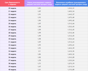 Сердцебиение плода на 37 неделе норма