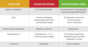 Когда отходят воды у беременных до схваток или после