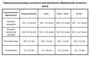 Боковые желудочки мозга норма у плода таблица по неделям