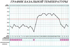 Какая температура во влагалище при беременности?