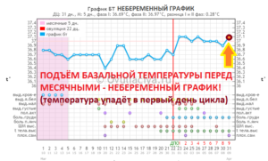 36 9 базальная температура после овуляции