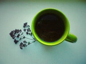Можно ли пить чай с душицей при грудном вскармливании