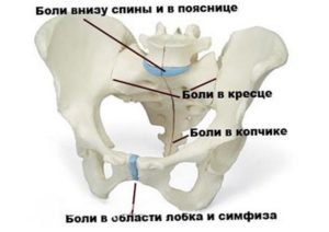 Боль В Области Лобковой Кости При Беременности