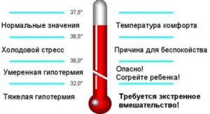 У Ребенка Горячая Голова А Ноги Холодные