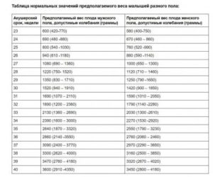 Вес ребенка в 32 33 недели беременности