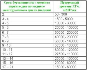 Как часто нужно сдавать кровь на хгч на ранних сроках беременности