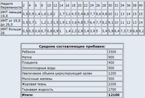 Сколько грамм в день набирает плод после 32 недель