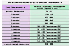 Чсс на 38 неделе беременности