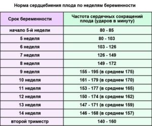 Сердцебиение плода на 37 неделе норма