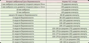 Сердцебиение плода 39 неделе беременности