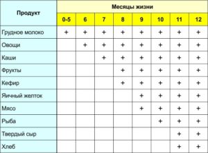 Питание ребенка в 8 месяцев при грудном вскармливании комаровский