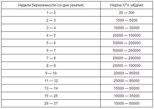 9 дней задержка какой срок беременности