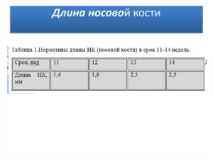 Носовая кость в 11 недель норма таблица